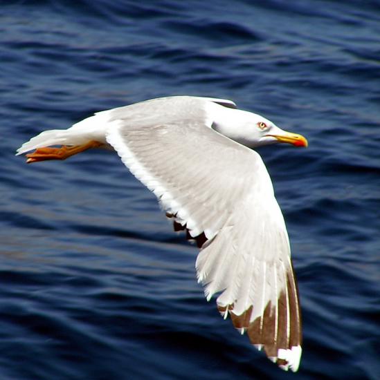 pict5547.jpg